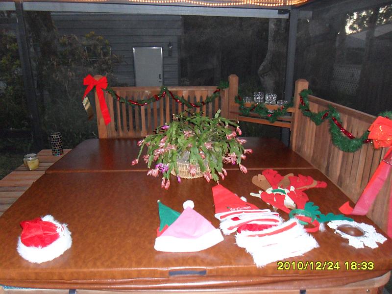 Picture 006